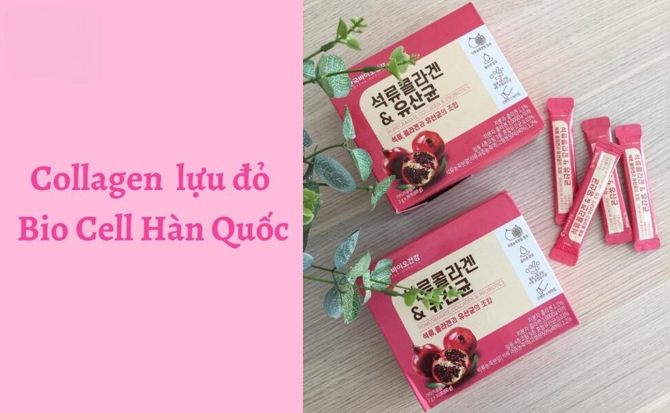 1cff9cc5 7e28 46b8 8314 5ee4a4cca030 Cách uống collagen dạng bột của hàn quốc Go1care