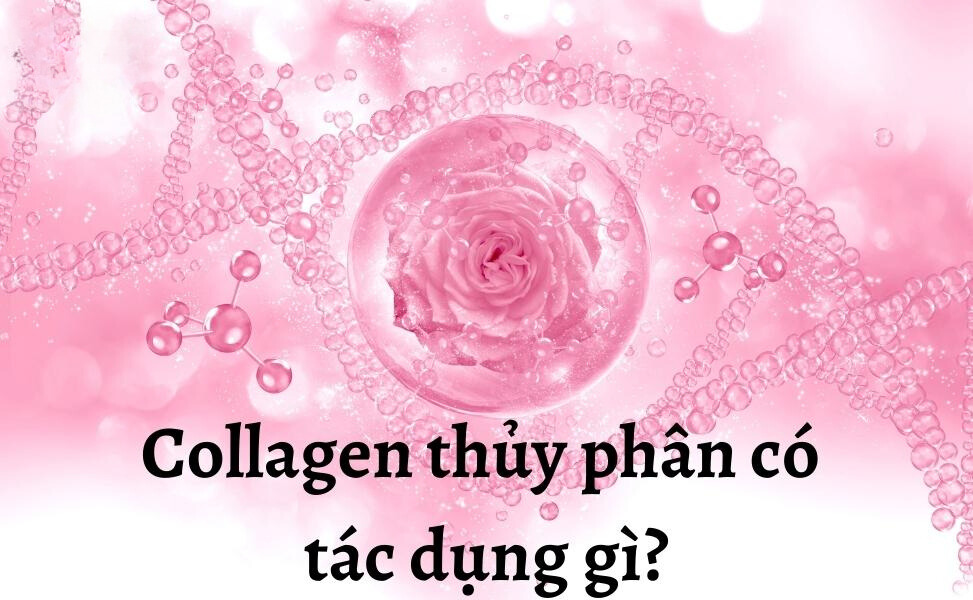 302872f4 c13a 4f91 a997 144bd674ae4b Collagen thủy phân có tác dụng gì đối với sức khỏe Go1care