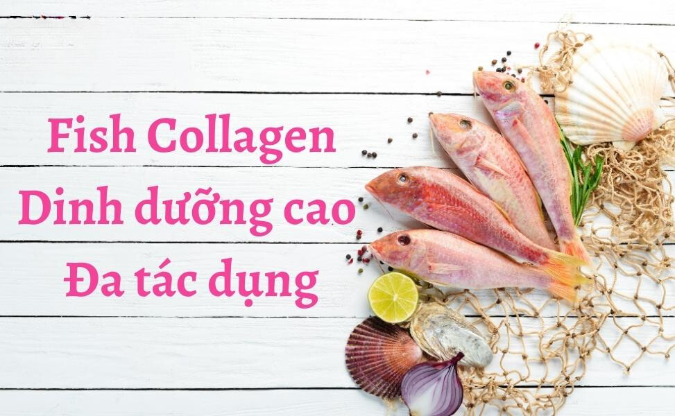 414d84a8 3958 4303 9d54 8d7c3bb7eb83 Fish collagen peptide là gì? Có tác dụng gì đối với sức khỏe Go1care