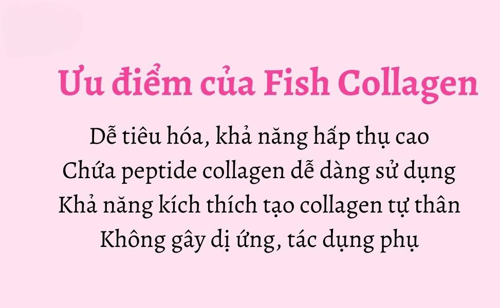 7efbf4cd 748a 4ebb b0ff 469c9df35c10 Fish collagen peptide là gì? Có tác dụng gì đối với sức khỏe Go1care