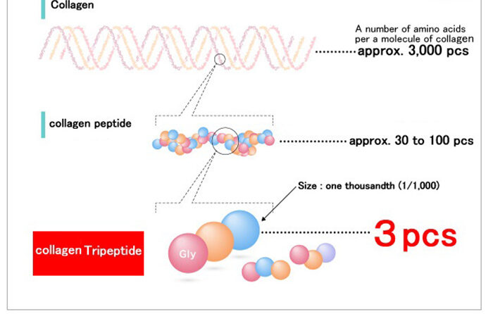 Collagen colagen thuyphan collagen tripeptide e1726559837903 Muốn dùng collagen làm đẹp da nhưng sợ mùi tanh thì chọn loại nào? Go1care