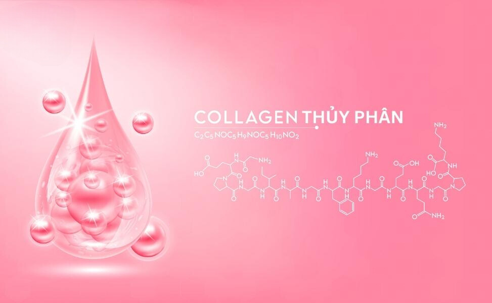 c8ea588d 3c45 4de7 9038 cb219b2b6fec Collagen thủy phân có tác dụng gì đối với sức khỏe Go1care