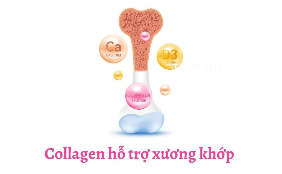 e1745e41 0a38 45b6 aa69 d0a27c49e694 Collagen thủy phân có tác dụng gì đối với sức khỏe Go1care