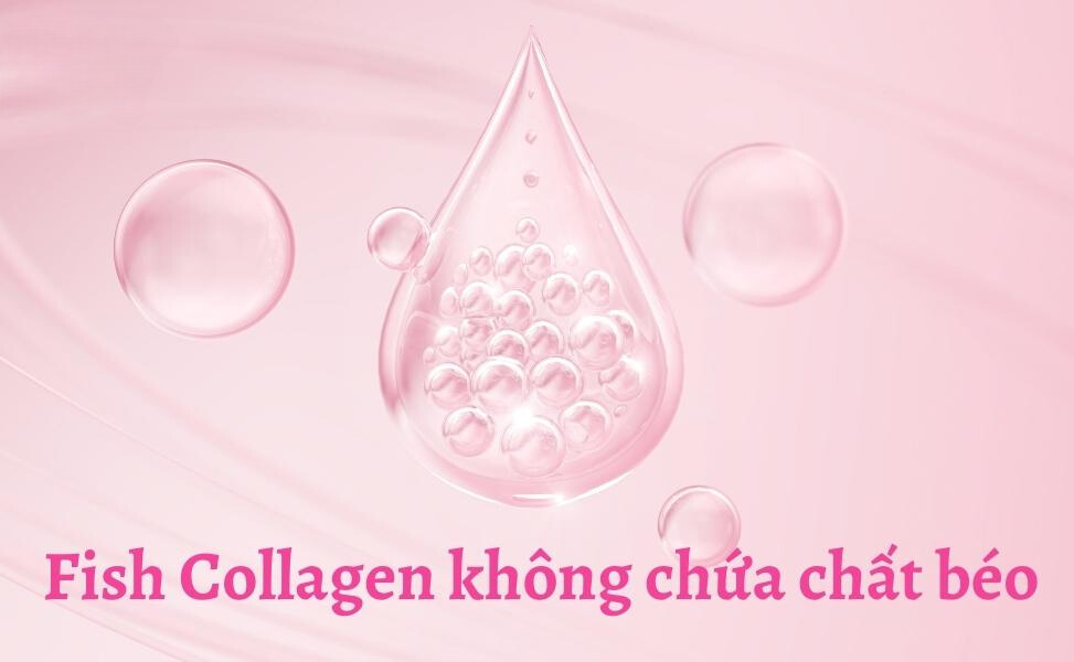 f4f1d376 d74b 41a9 8d43 a11df421beda Fish collagen peptide là gì? Có tác dụng gì đối với sức khỏe Go1care