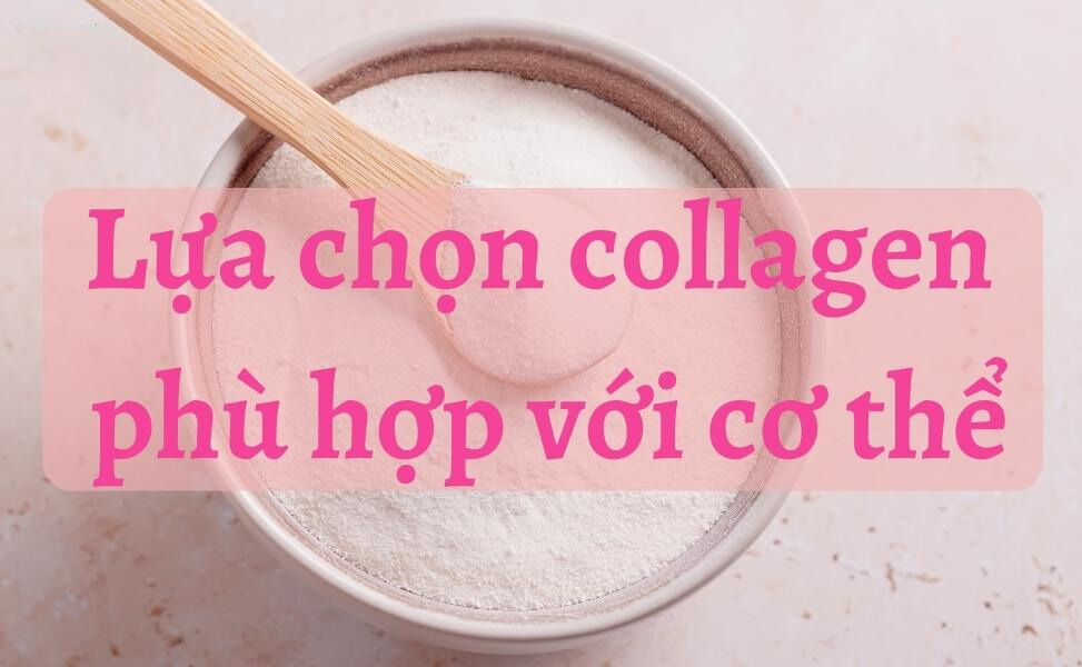 fedca599 9dd8 40d4 bb2c f2ebc2f38eef Cách uống collagen dạng bột của hàn quốc Go1care