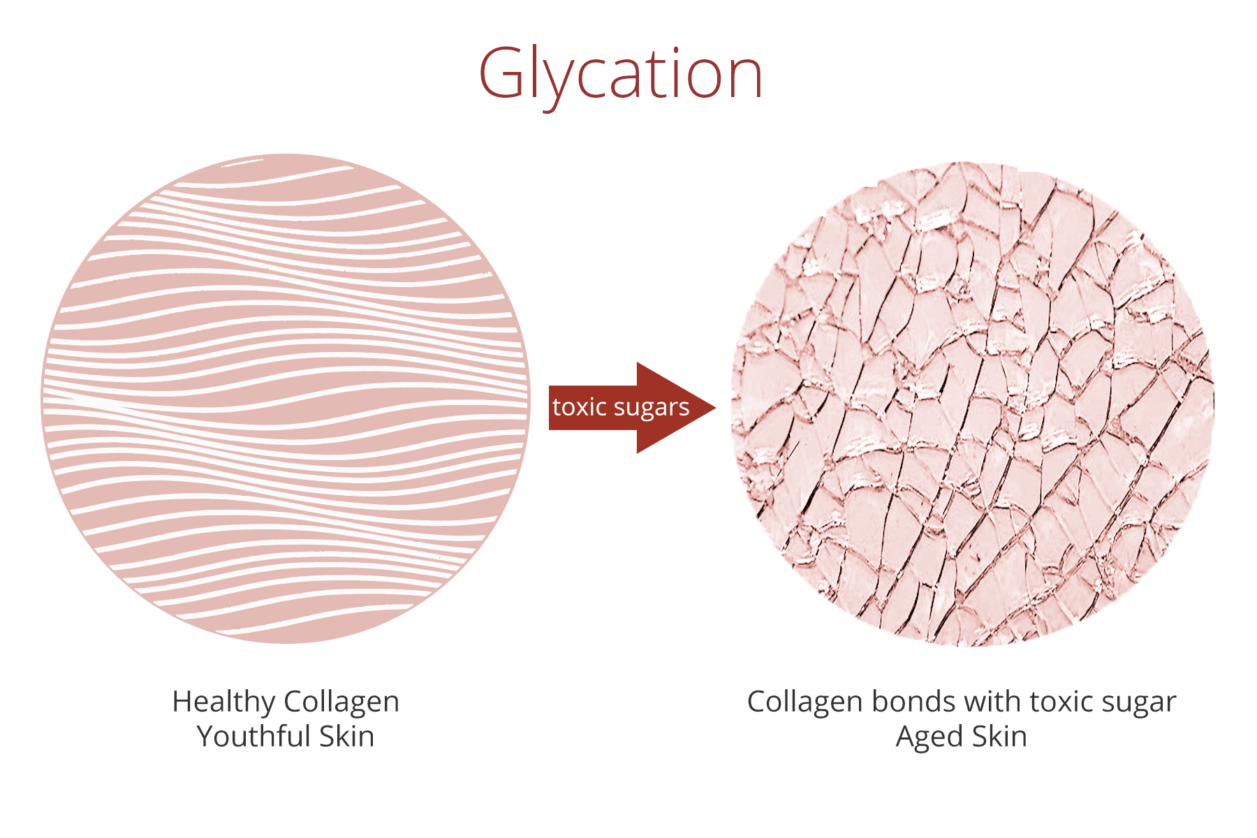 glycation Khi Uống Collagen Nên Kiêng Ăn Gì Để Collagen Phát Huy Tác Dụng Tối Đa, Uống Tới Đâu Da Đẹp Tới Đó? Go1care