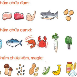 Bác sĩ Hoàng Minh Tài thực đơn tăng chiều cao