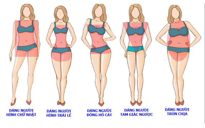 tỉ lệ cân nặng và chiều cao của nữ
