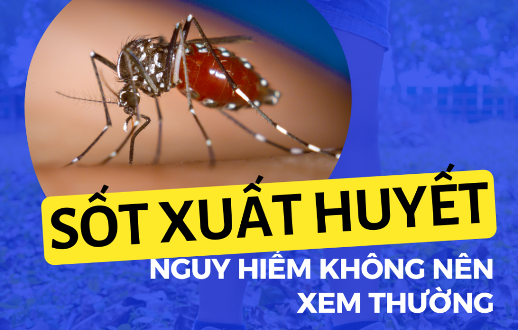 33 Sốt xuất huyết nguy hiểm không nên xem thường Go1care