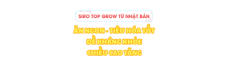 Banner header mobile 800x240 1 Top Grow Go1care