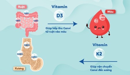 Bổ sung kết hợp Vitamin D3 và K2