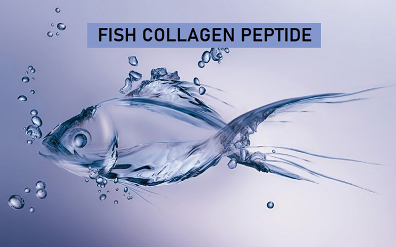 collagen thuy phan 2 Những lợi ích đến từ Collagen thủy phân đối với sức khỏe Go1care
