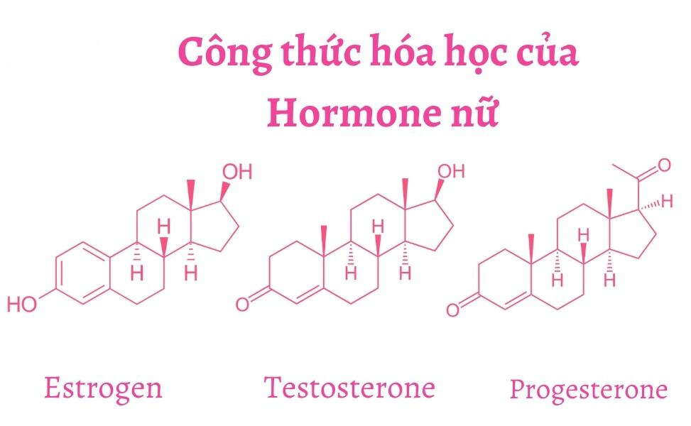 cong-thuc-hoa-hoc-hormone-nu-go1care