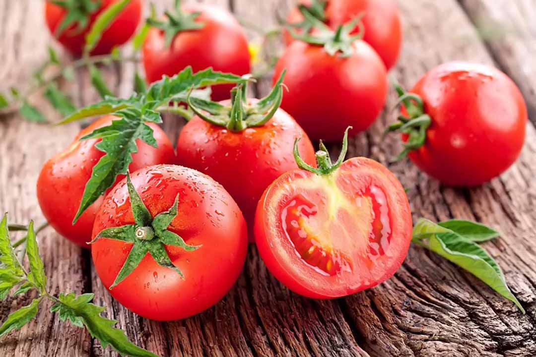Cà chua thực phẩm tốt cho mắt, nguồn lycopene dồi dào go1care