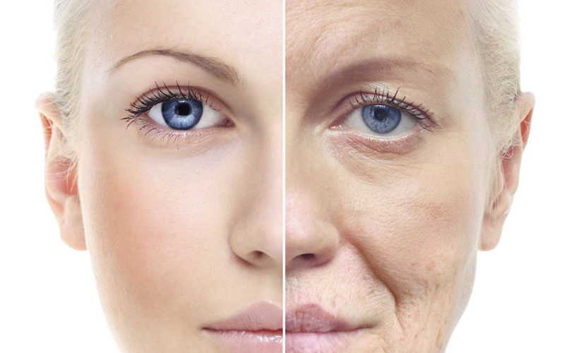 Collagen có công dụng tuyệt vời trong việc ngăn ngừa lão hóa trên da.