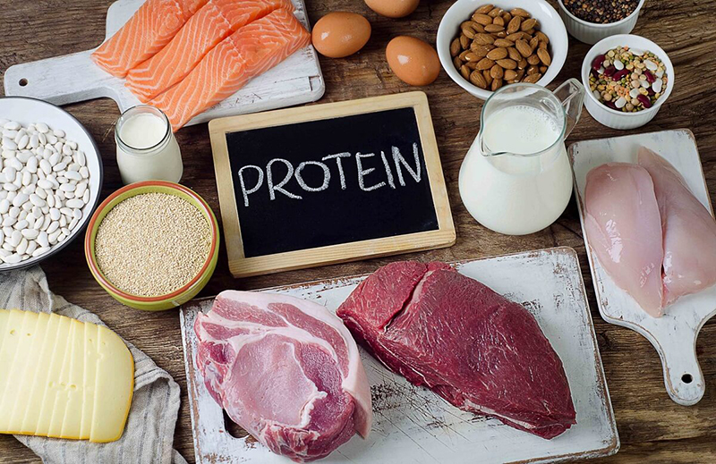Chọn nguồn cung protein tốt để hệ tiêu hóa khỏe mạnh hơn