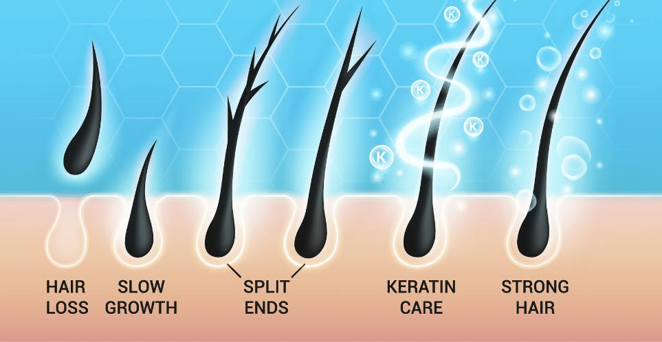 Keratin giúp cho màng ngoài của tóc và đuôi tóc được chắc khỏe hơn loại bỏ tình trạng tóc chẻ ngọn go1care